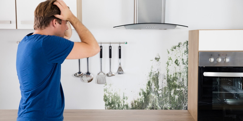 restore mold